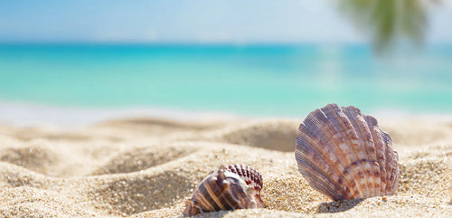 Miss June: Die fabelhafte Story hinter der Boho-Chic Marke und ihre coolen Produkte bei nikivibes