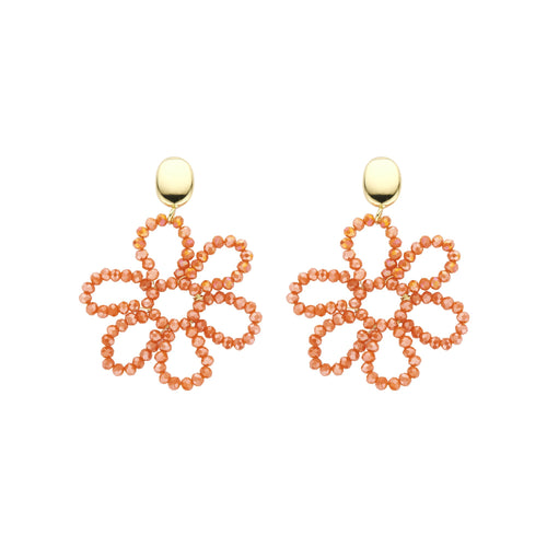 farbe:Coral