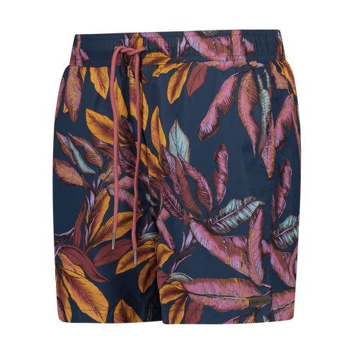 Short Tropical Forest